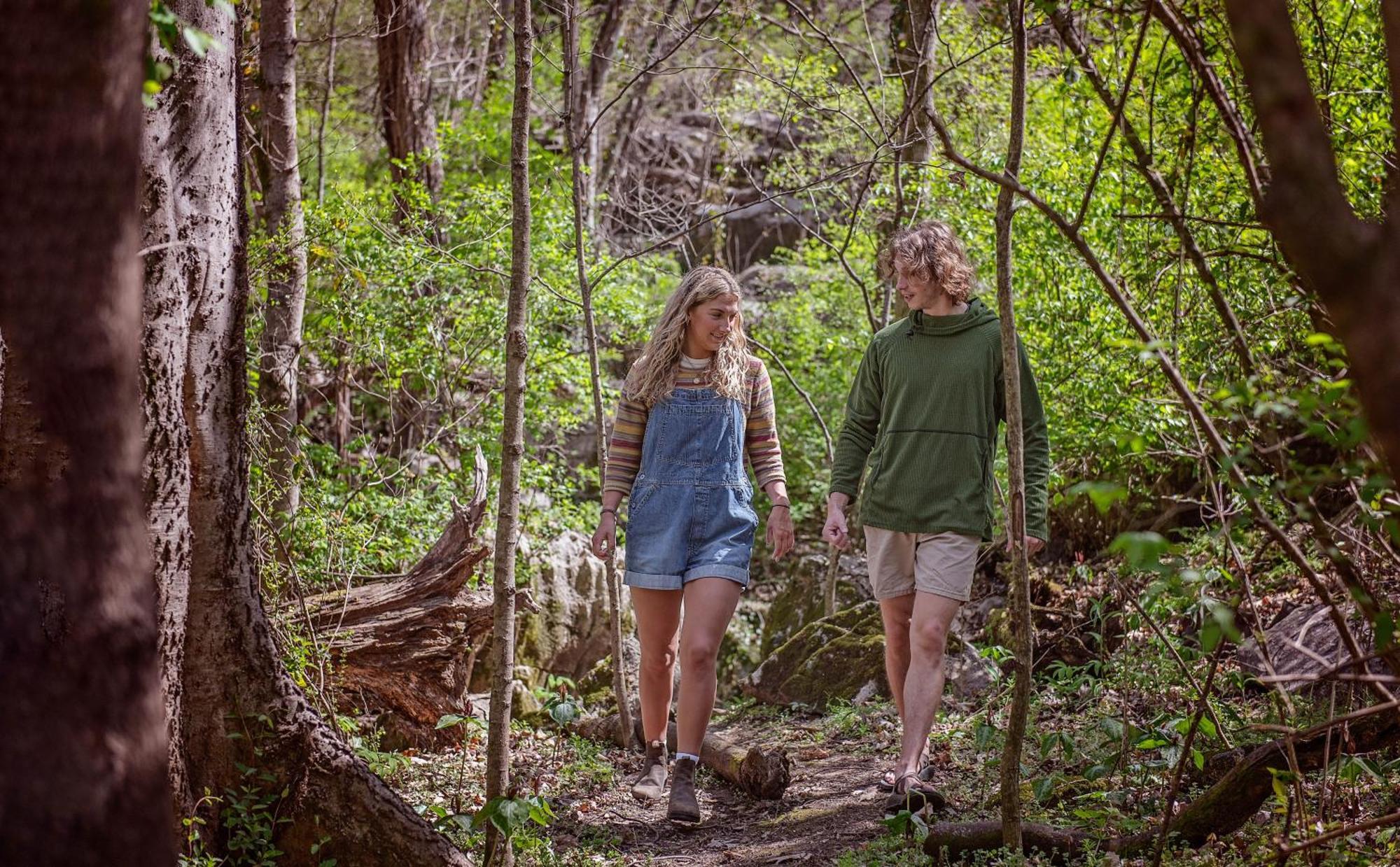 Meg Cabin Tiny Rustic Comfort On Lookout Mtn Чатануга Екстериор снимка